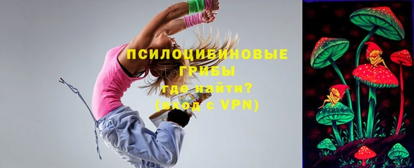 гашик Балабаново
