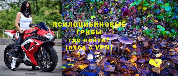 гашик Балабаново