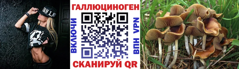 MEGA   как найти закладки  Светогорск  Псилоцибиновые грибы мухоморы 